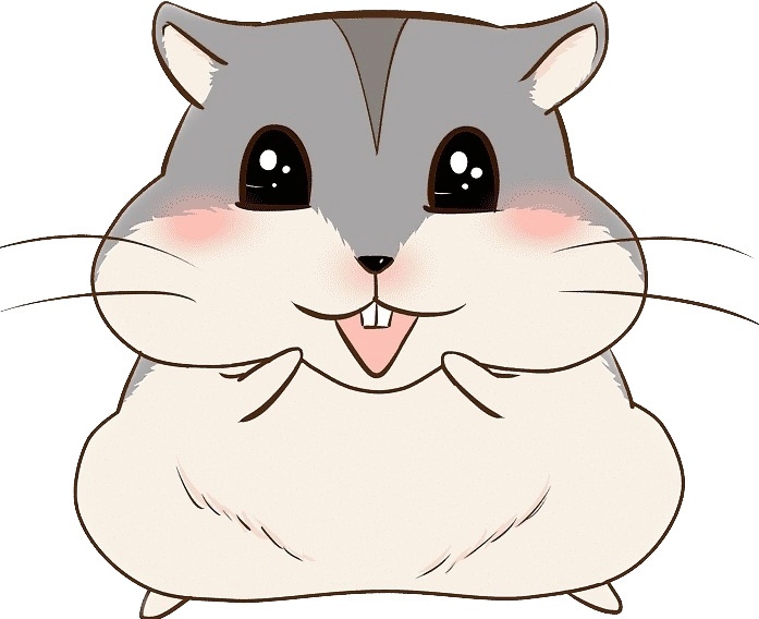 Снежана дизайнер